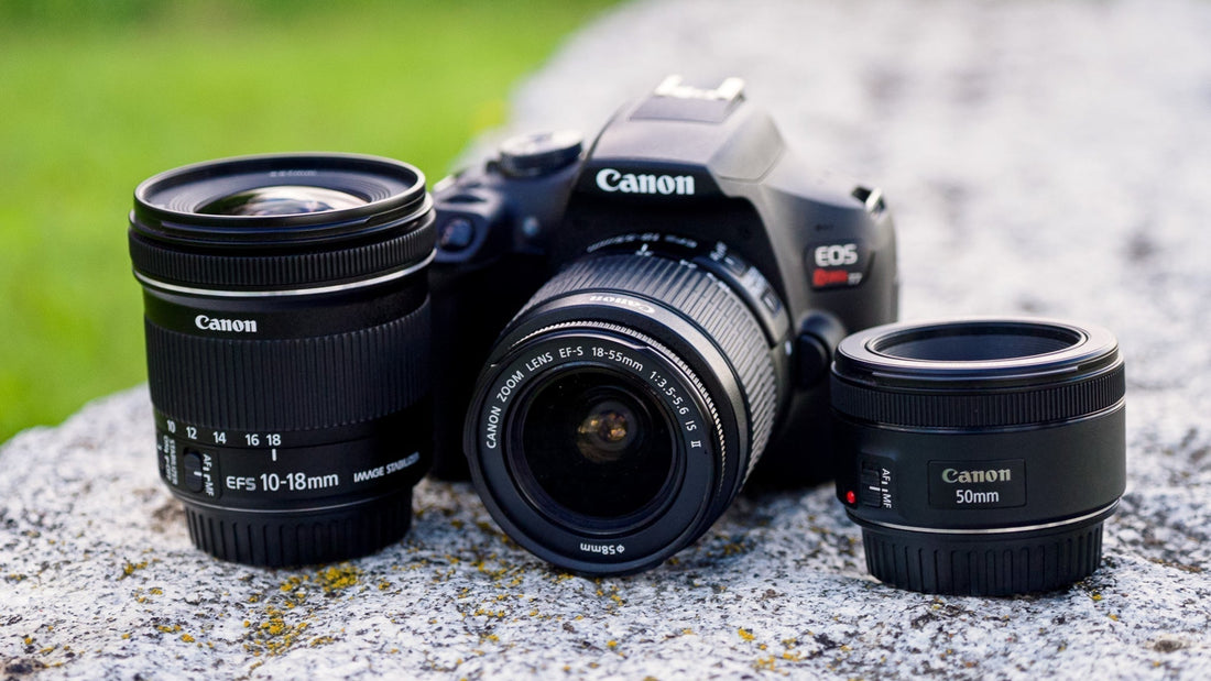 Best Beginner Lenses & Accessories for the Canon T7 (Budget Friendly Kit)